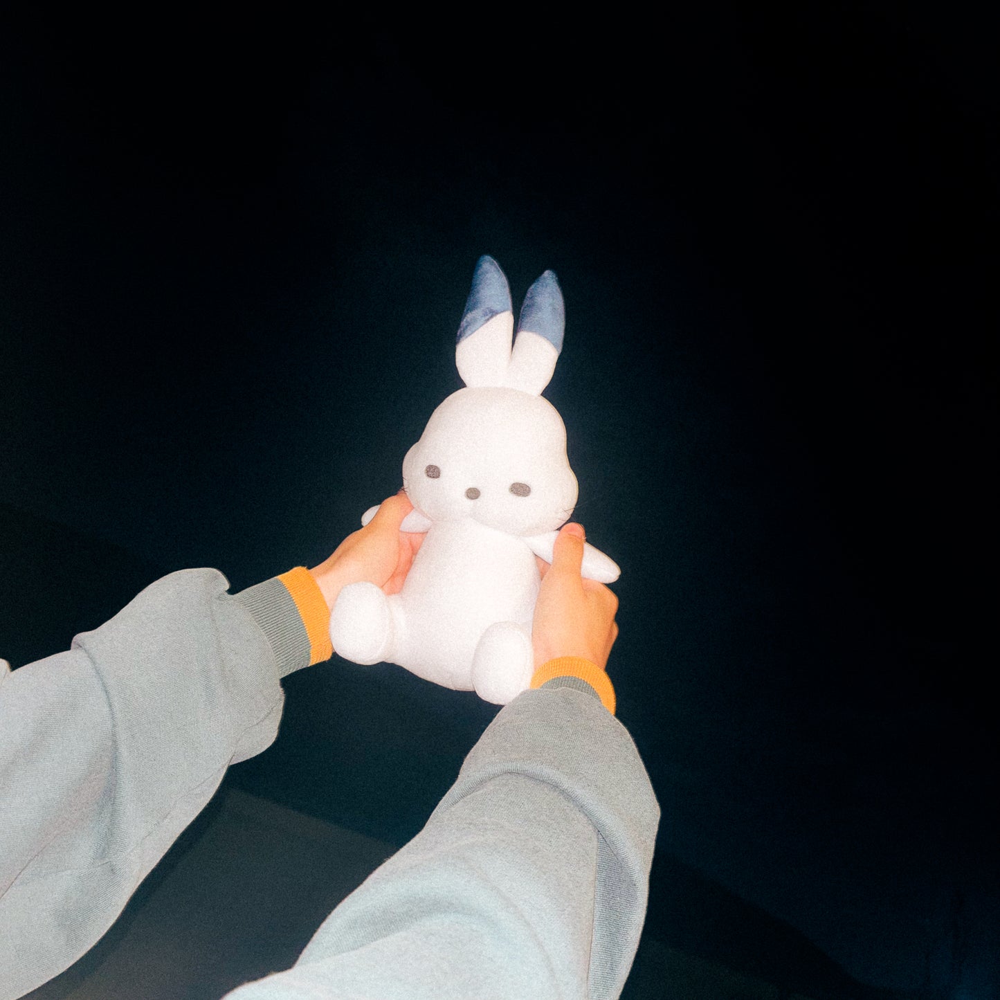 ドコうさぬいぐるみ