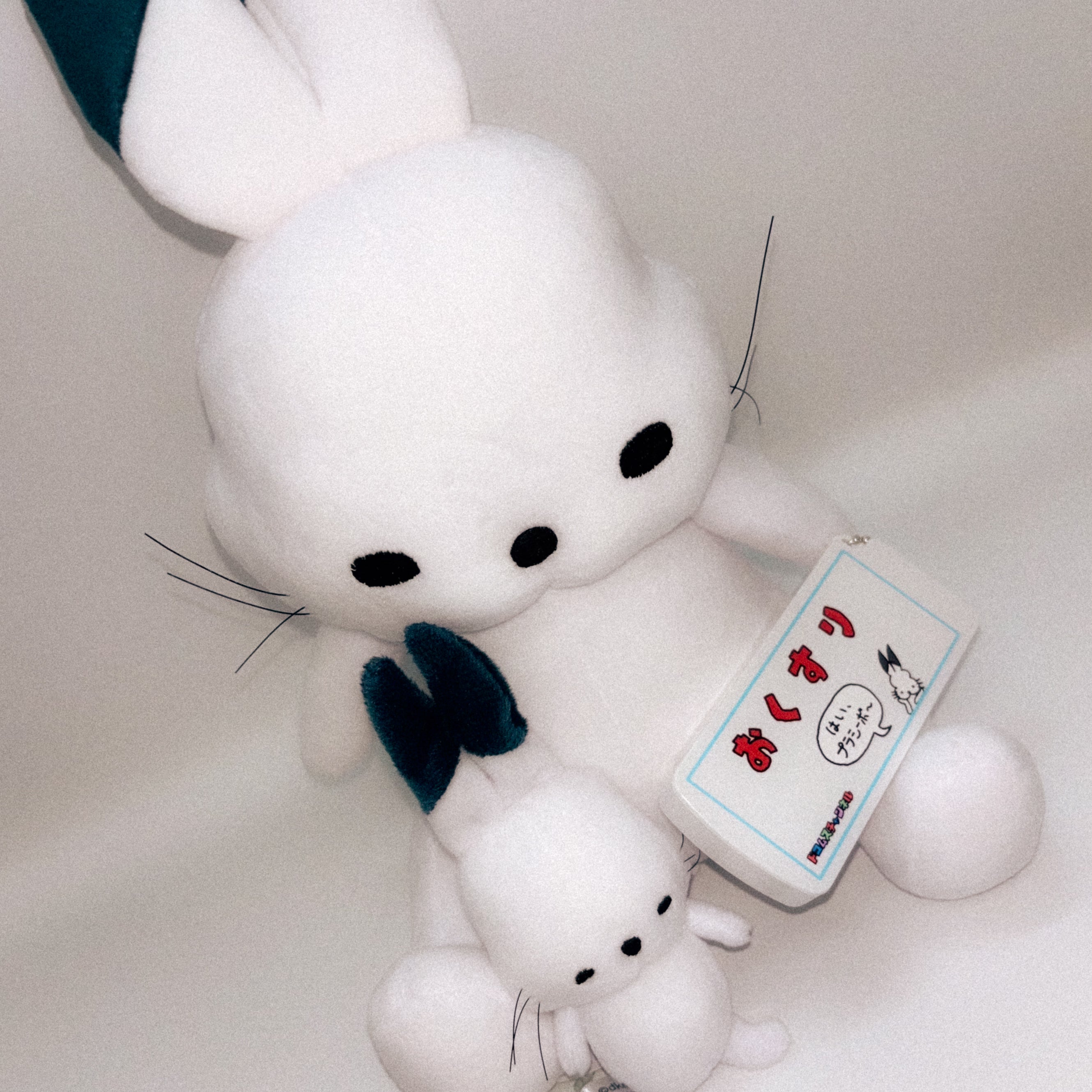 ドコうさぬいぐるみキーホルダー – ドコムスチャンネルショップ