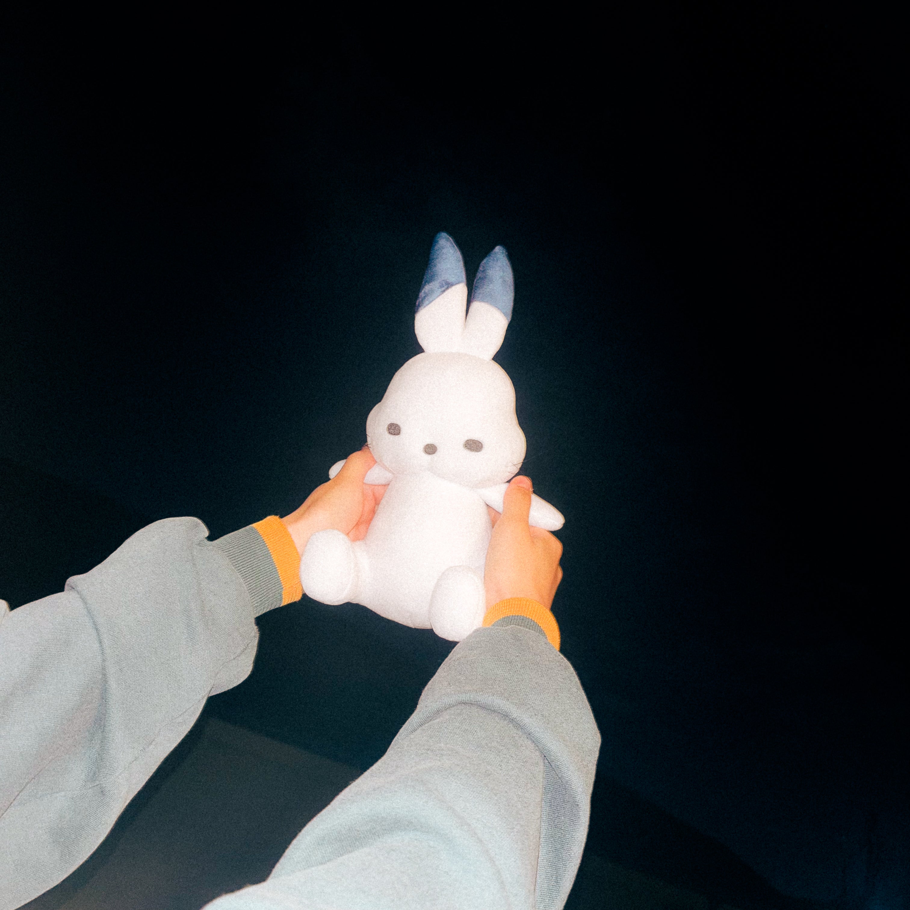 ドコうさぬいぐるみ – ドコムスチャンネルショップ