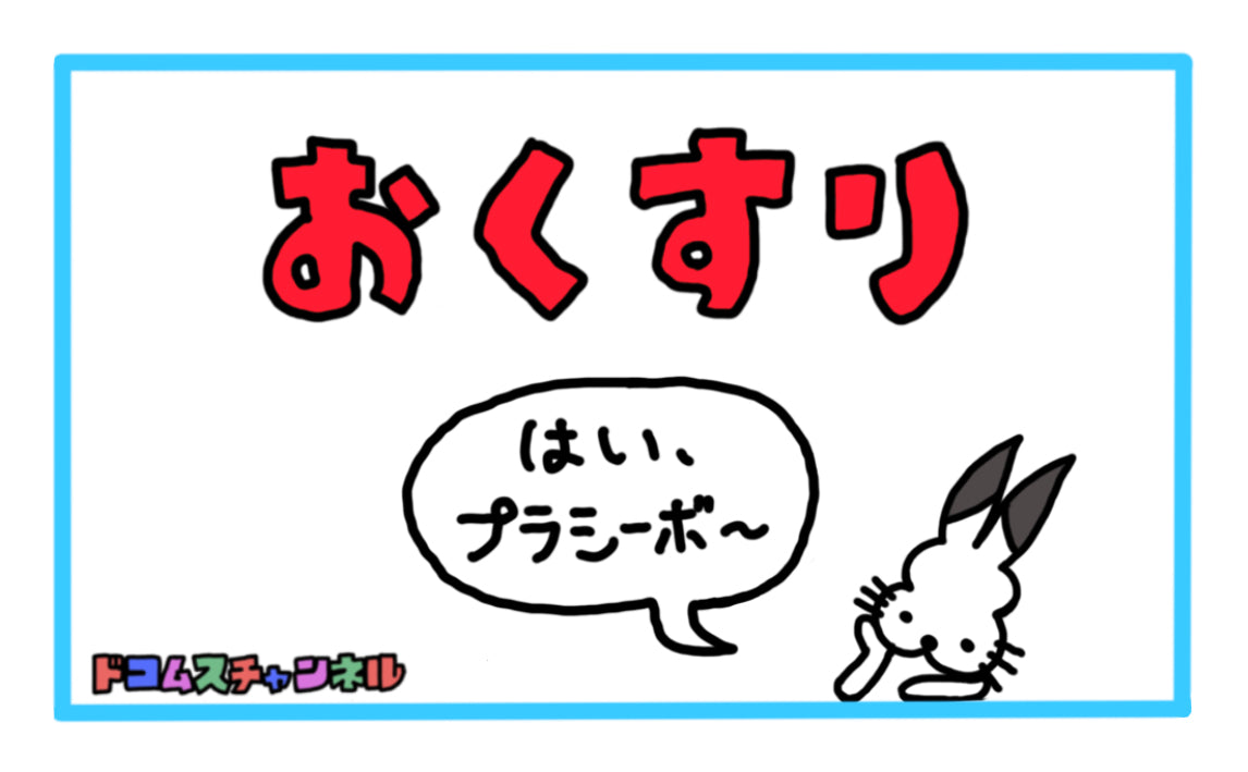 はいプラシーボピルケースver3